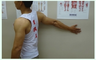 本頁圖片/檔案 - UL_4_biceps