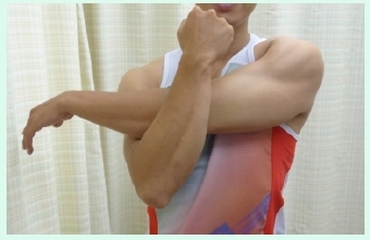 本頁圖片/檔案 - UL_5_deltoid