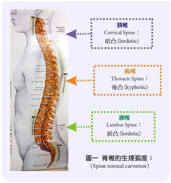 本頁圖片/檔案 - Slump_back_2013_P1