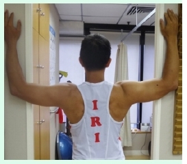 本頁圖片/檔案 - UL_1_PectM1a