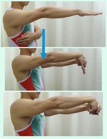 本頁圖片/檔案 - UL_6_extensor