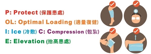 本頁圖片/檔案 - 2017-1_pic2